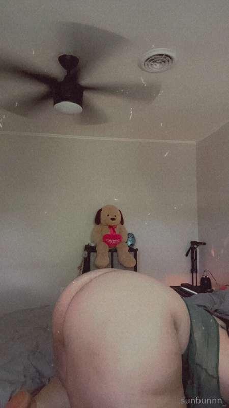 pawgwithablog97 image #1