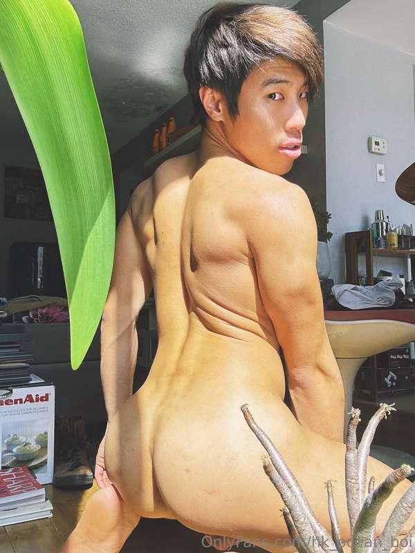 hk_ocean_boi image #1