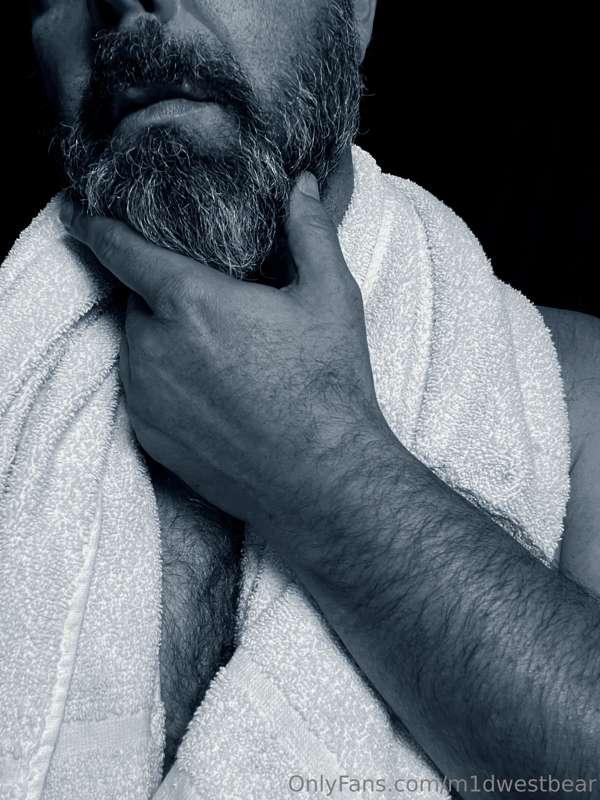 m1dwestbear image #3