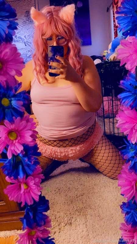 allykitty image #0