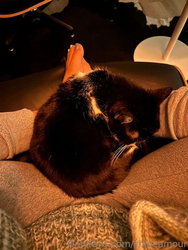 I’ve got a cat in my lap 🥰