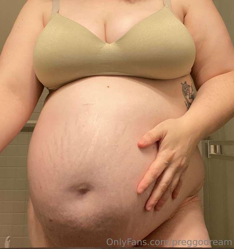 preggodream image #1