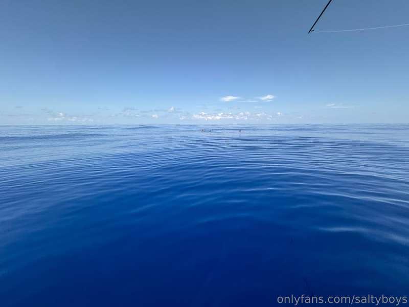 ** WARNING ** - do not scroll if you do not want to see dead..