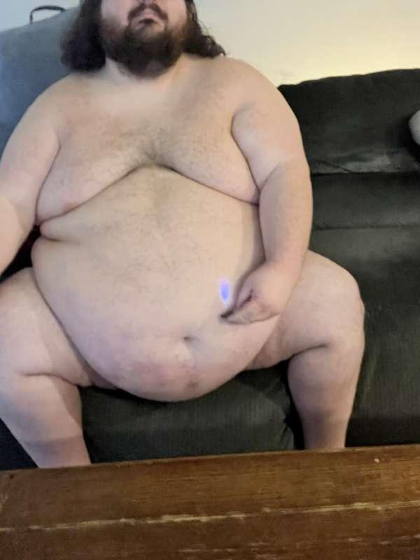 bellybydairy main image