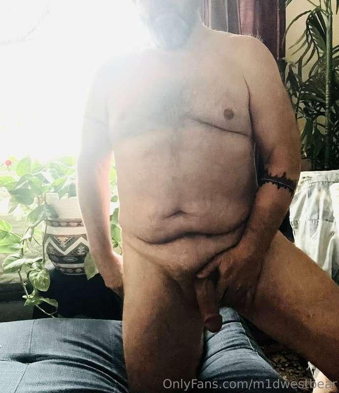 m1dwestbear image #5