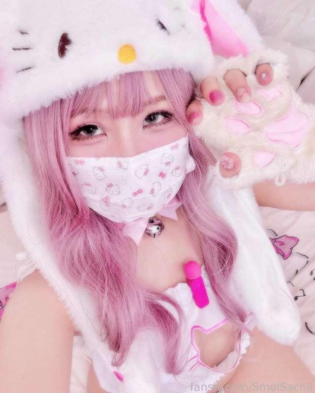 smolsachii image #1
