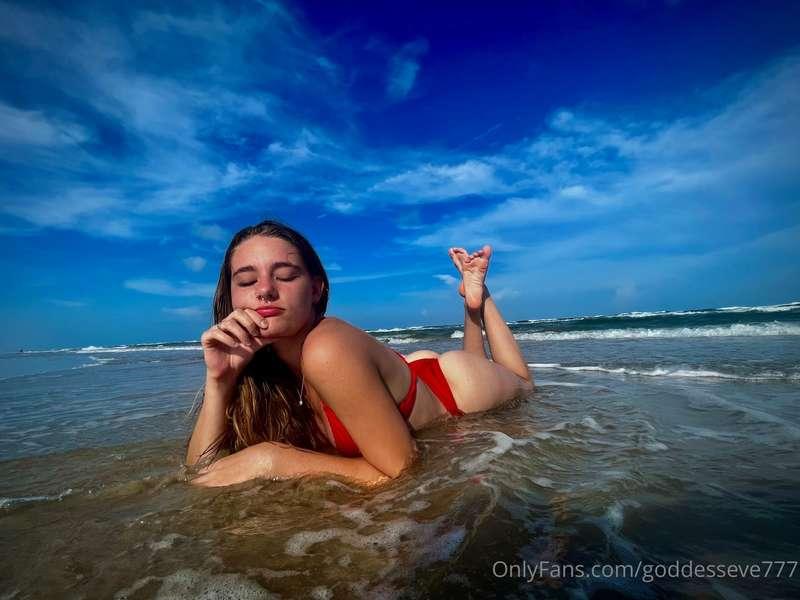 tigerofmyeye image #0