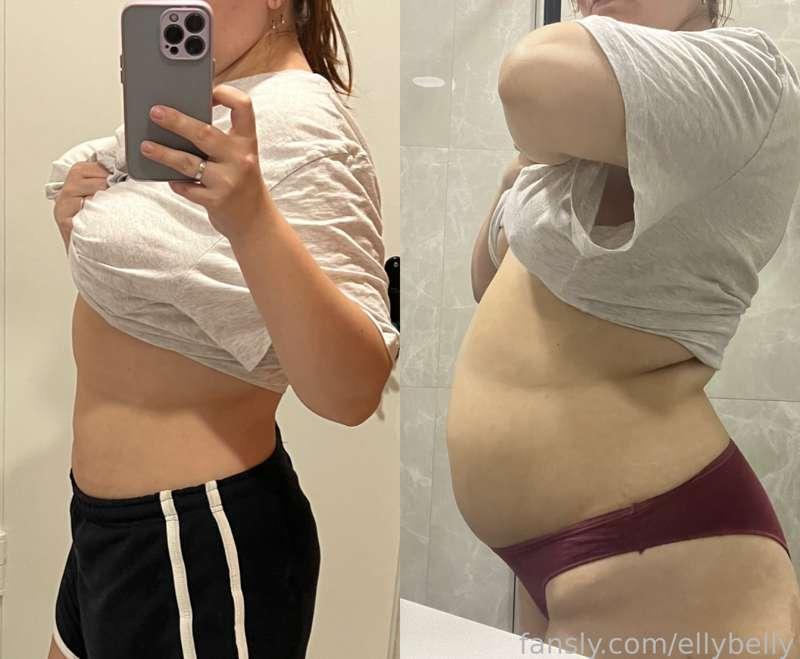 ellybelly image #2