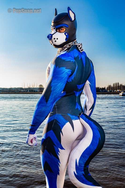 Since a lot of you asked for pictures of my new Buday suit....