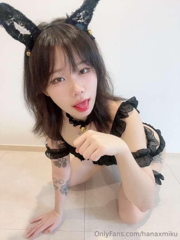 hanaxmiku image #0