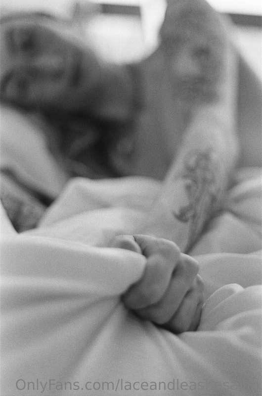 laceandleashesallin image #14