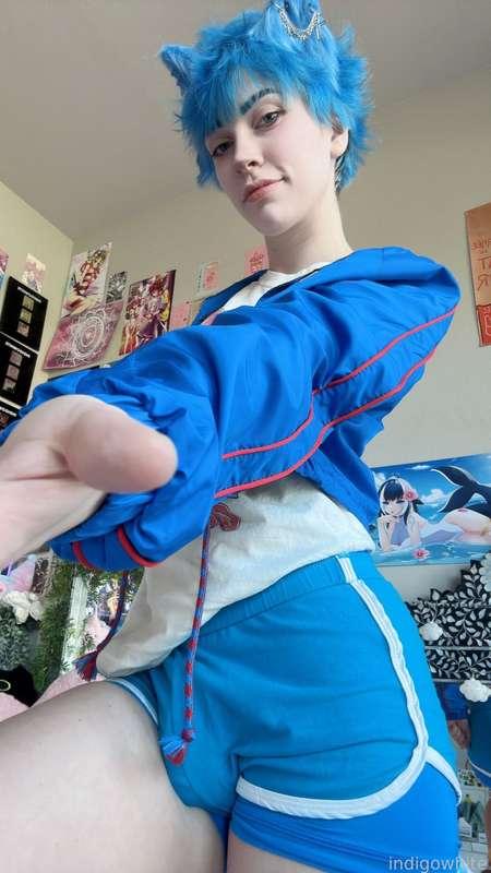 indigowhite image #279