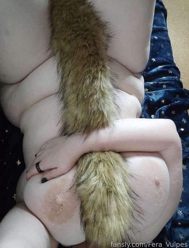 fera_vulpes image #4