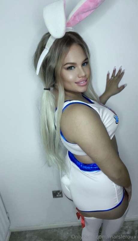 Lola Bunny 🐰 