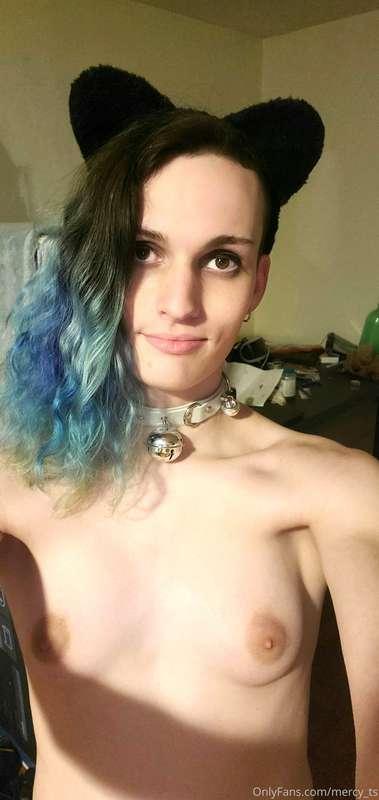 So I just got a new set yesterday, my first plug. With a rem..