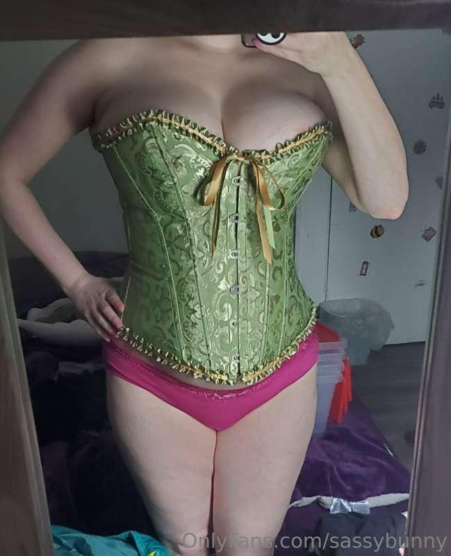 I tried on a corset to see if it still fits. What do you thi..