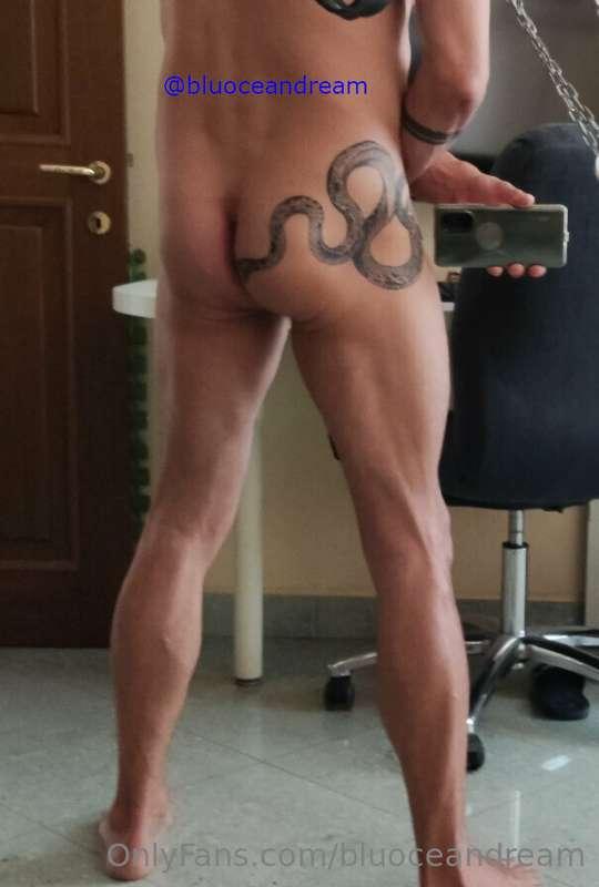 But what is the snake exploring? What do you think of the ne..