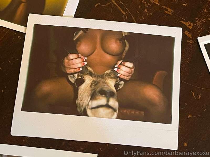 Polaroids for sell