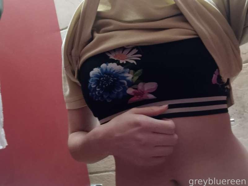 greybluegreen image #3