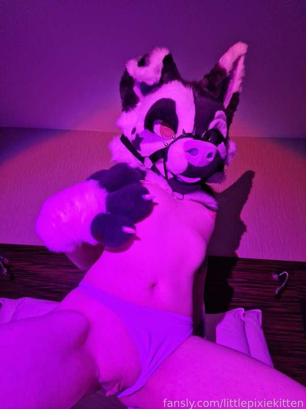 littlepixiekitten image #9