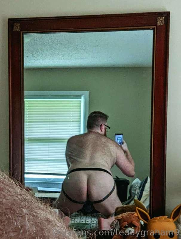 teddygraham9 image #5