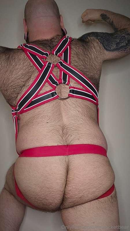 mrpocketbear image #17