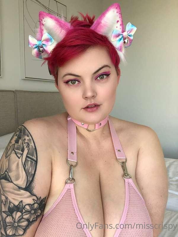There are some extra naughty photos of this kitty bent over ..
