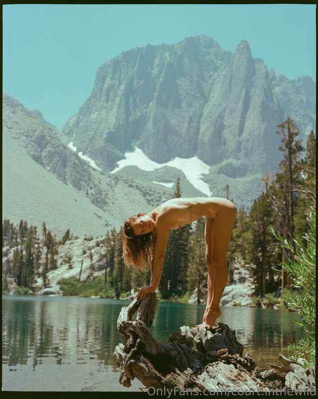 court.inthewild image #1