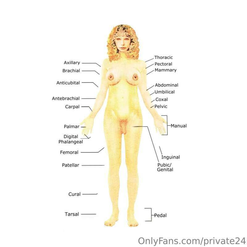 Don’t forget to study for your anatomy test!