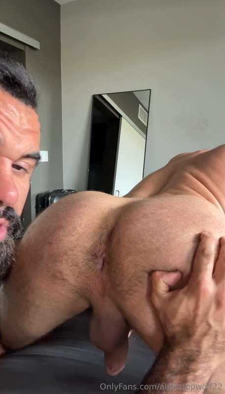alphatopwolf22 image #7