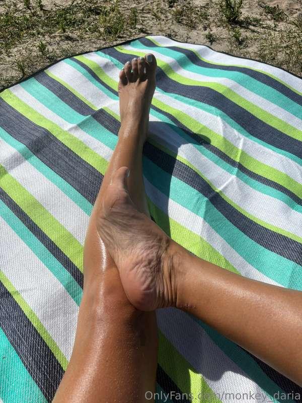 monkey_daria image #2