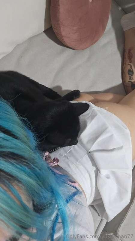 Quieres ser mi gato? 🤭