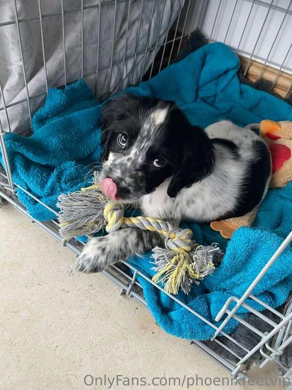 So this is my life at the moment 🥹 her name is L and she is ..
