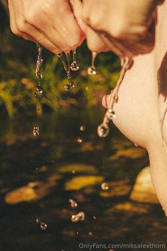 missalexthorn image #9