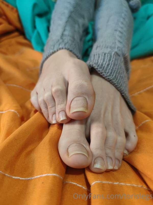 torislegs image #0