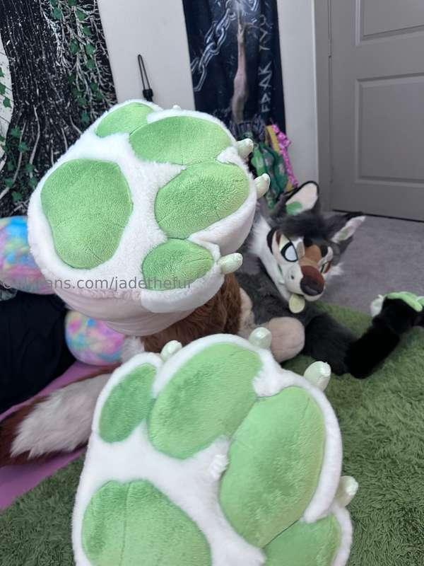 Paws🐾
