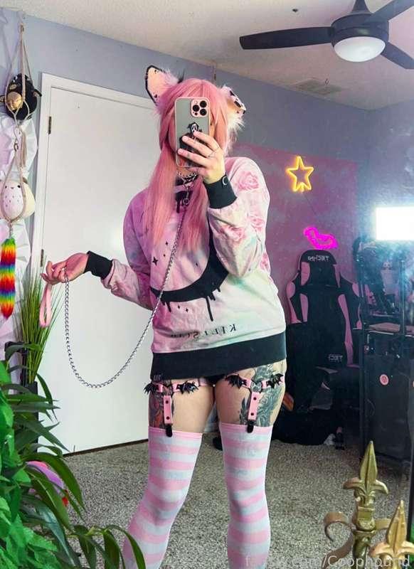 coophound image #1