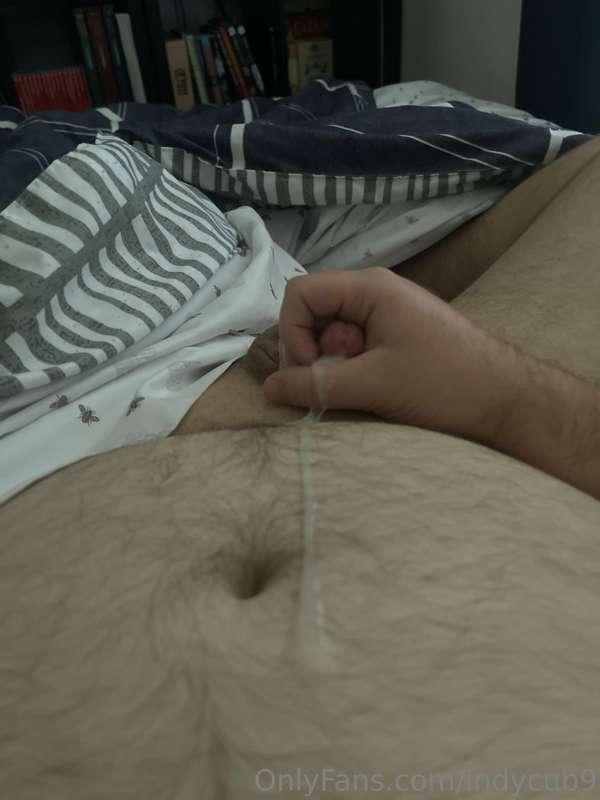 indycub9 image #0