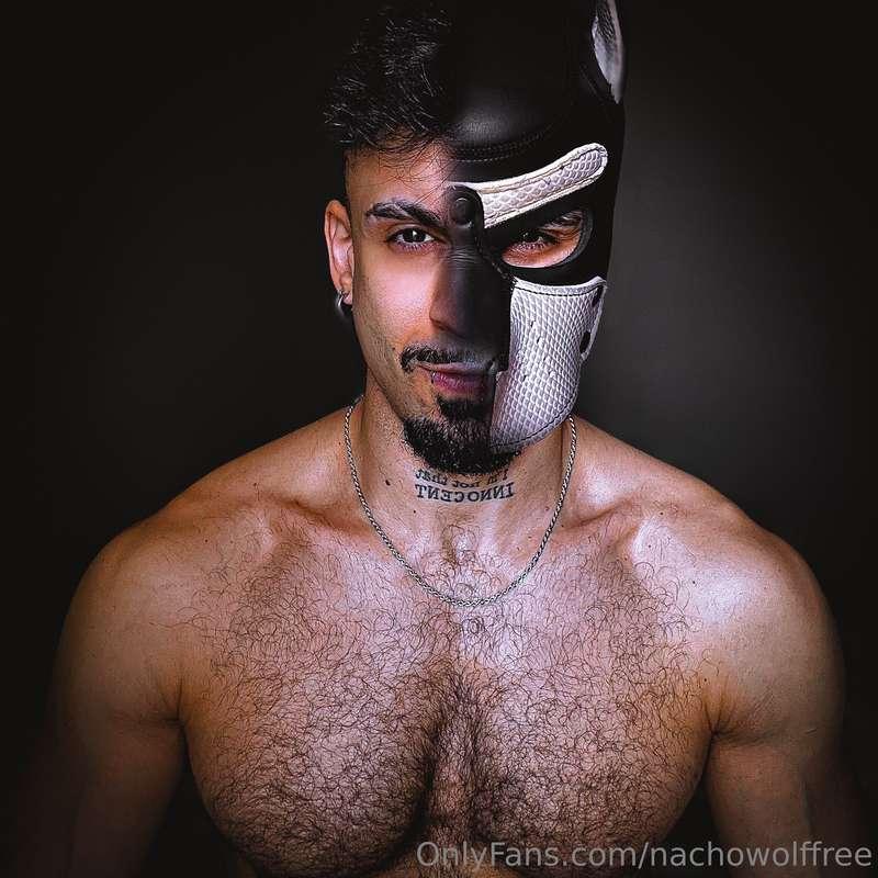 Bienvenido! Ponete cómodo y disfrutá🐺 Welcome! Get comfy and..