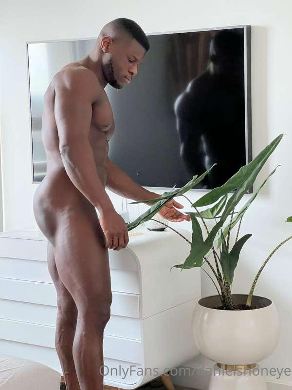 danielshoneye image #1