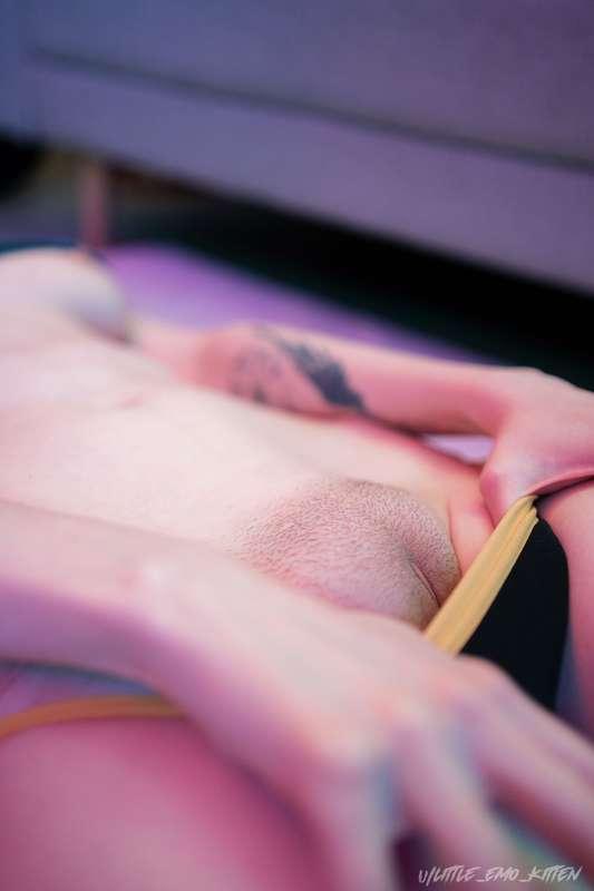 little_emo_kitten image #6