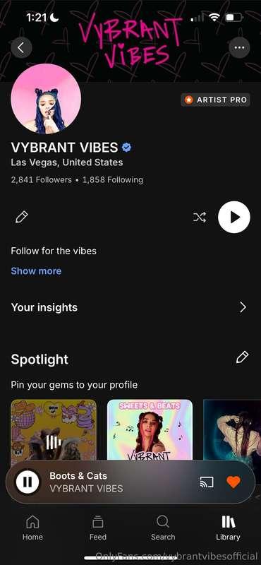 vybrantvibesofficial image #0