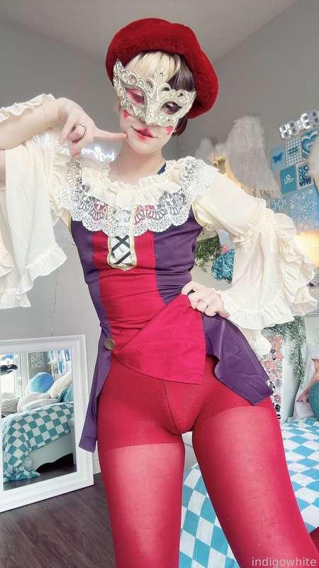 indigowhite image #308