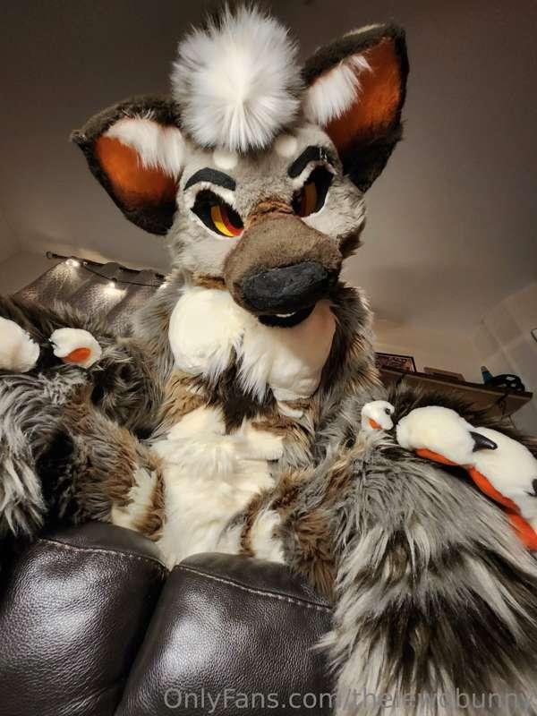 ad_rutt image #7