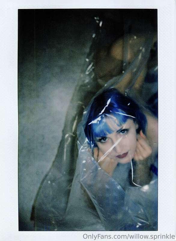 willow.sprinkle image #0