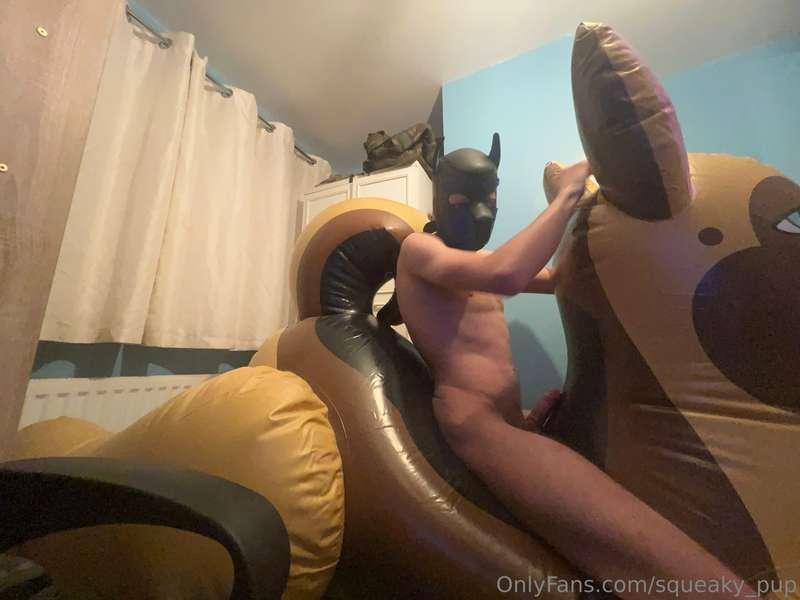 Having some fun with this huge German shepherd. What would y..