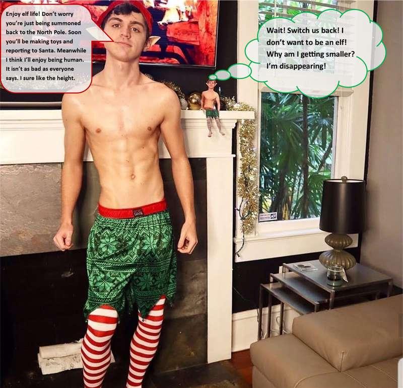 Elf Life