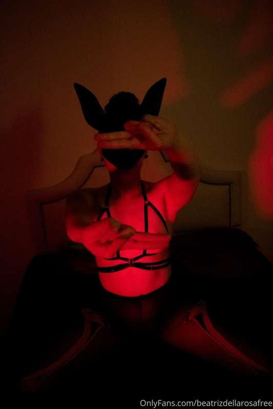 ☠️ 𝙎𝙠𝙚𝙡𝙚𝙩𝙤𝙣 𝙗𝙪𝙣𝙣𝙮 ☠️

Authoral photoset - Halloween themed:
..