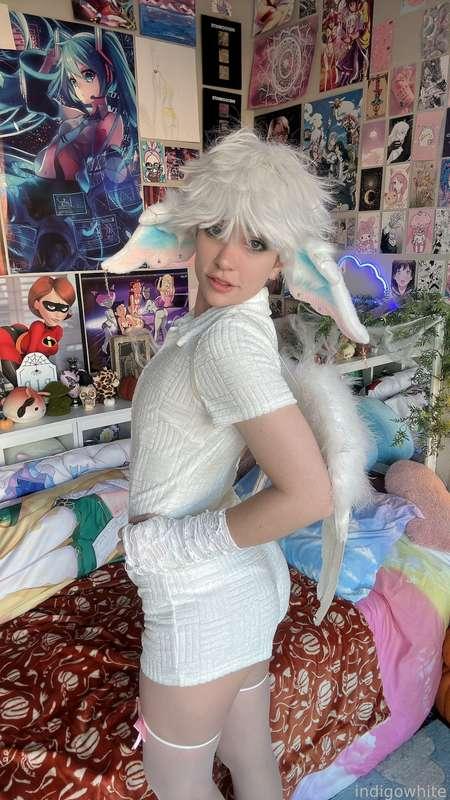 indigowhite image #209