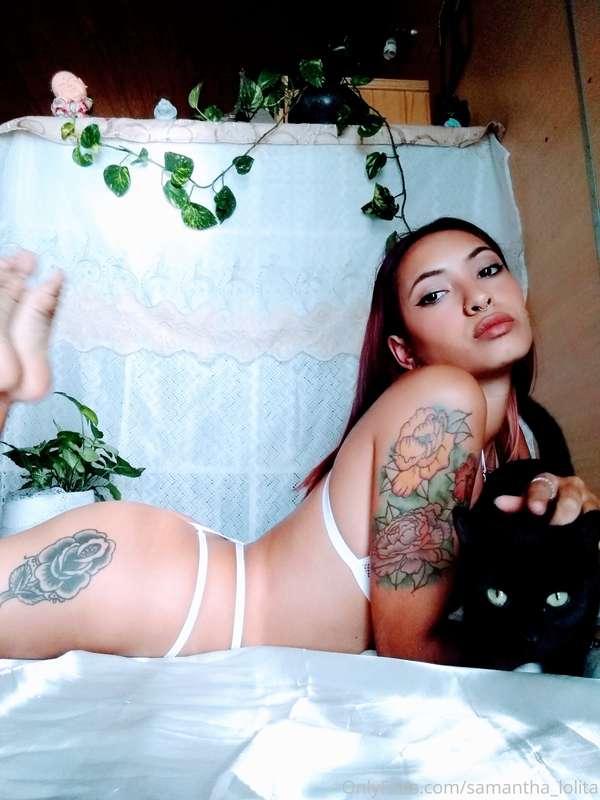 Taking a break, petting my kitten I would like you to caress..